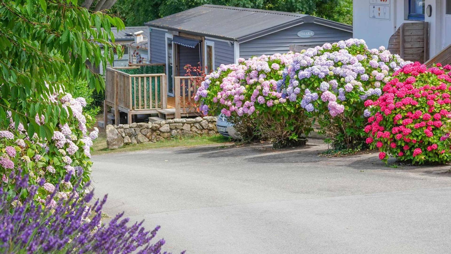 Camping Le Dolmen, Carnac, Morbihan Exteriér fotografie